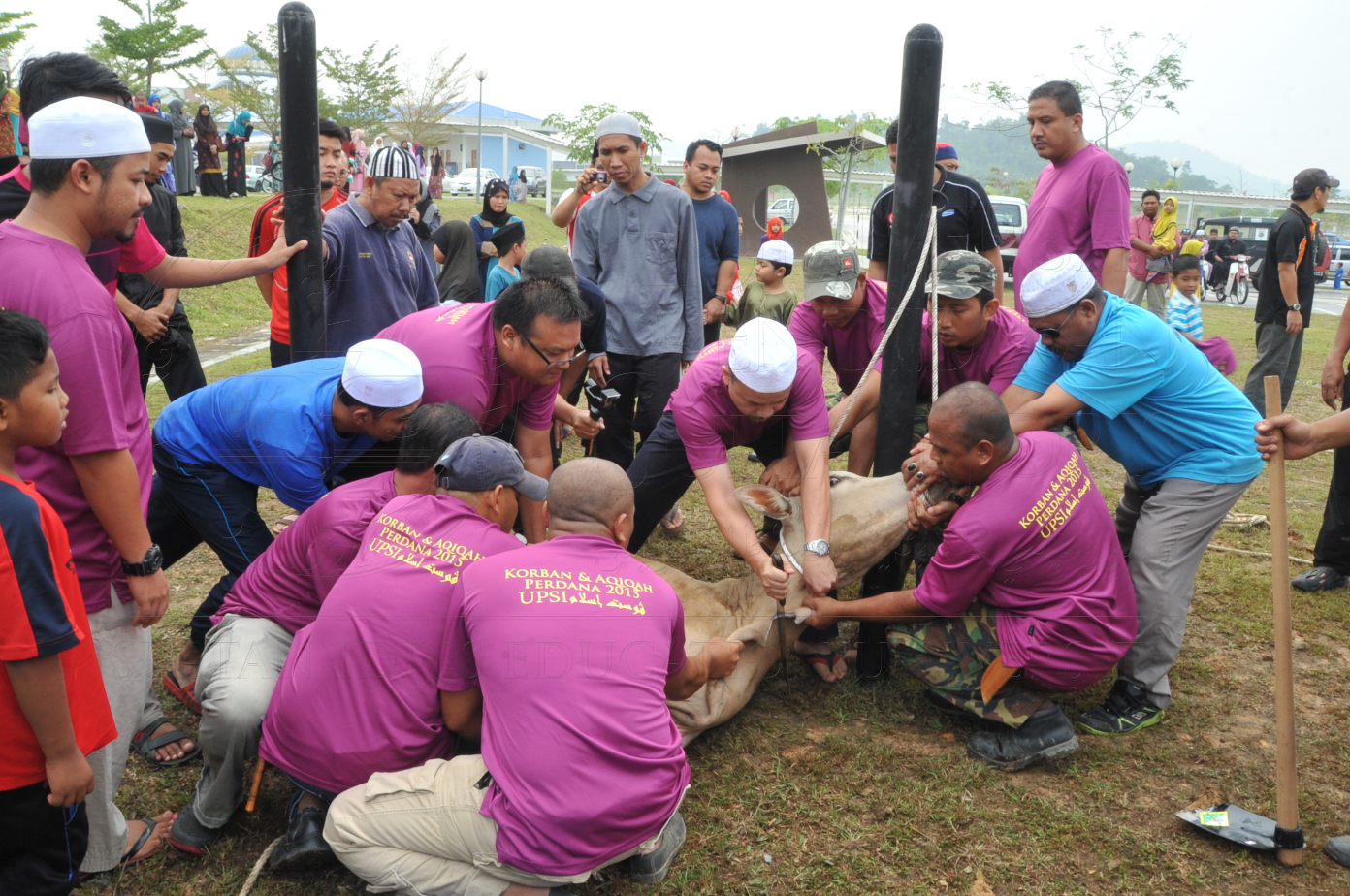 PRO15 150 KORBAN HAS 6705